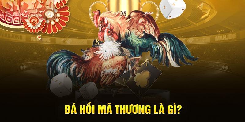 Tổng quan về lối đá hiểm đá hồi mã thương